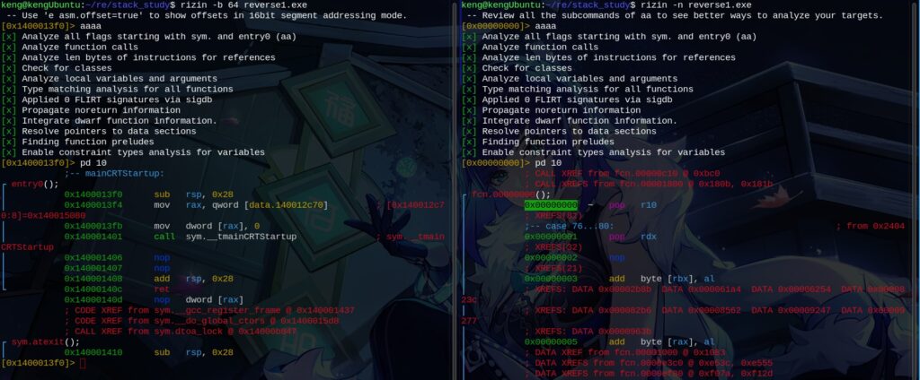0x008-01-open-file-in-rizin